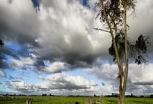 48小时内两次 美军在中东执行轰炸机特遣队任务.