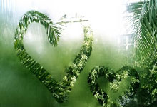 胜游亚洲：[天下足球]马塞洛：蓬头飞翼.